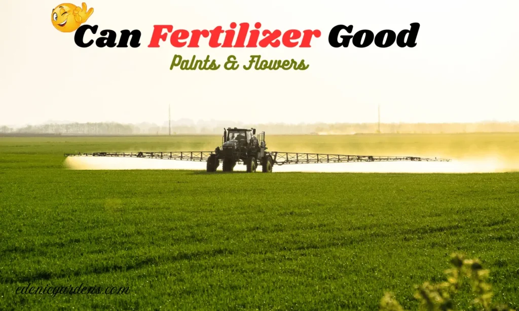 fertilizer good for plants and flower