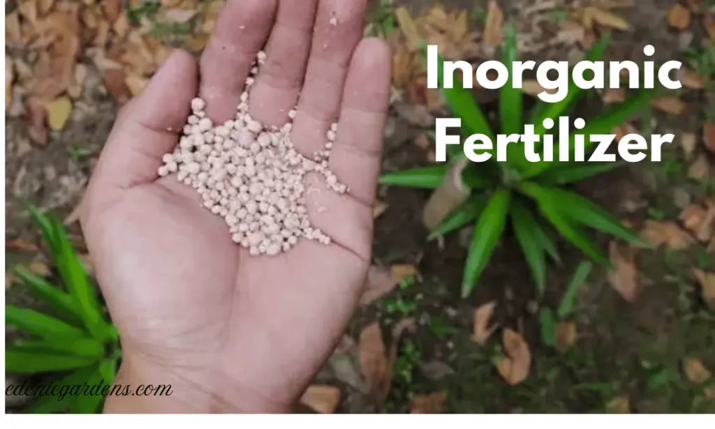 Inorganic Fertilizer 1