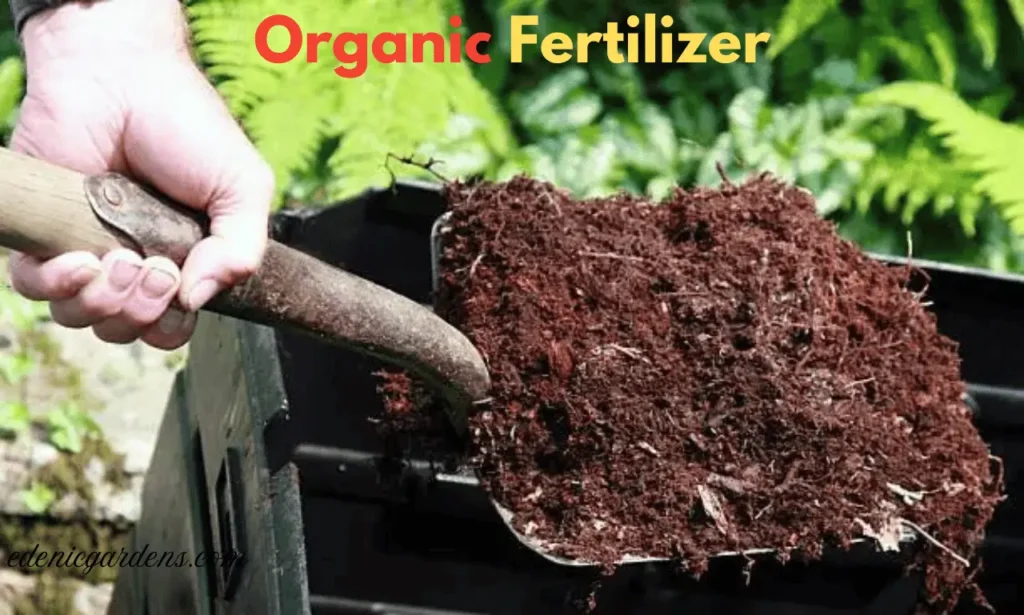 organic Fertilizer 1