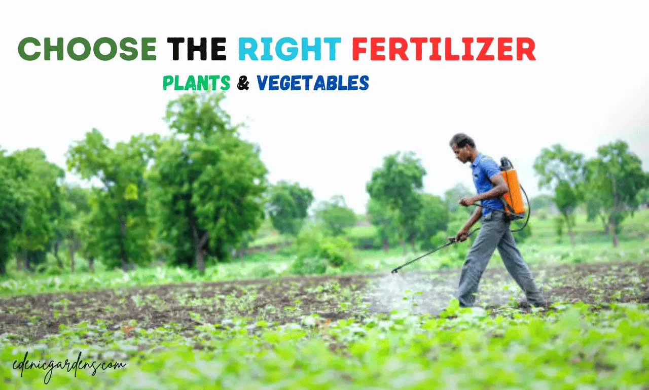 Right Fertilizer